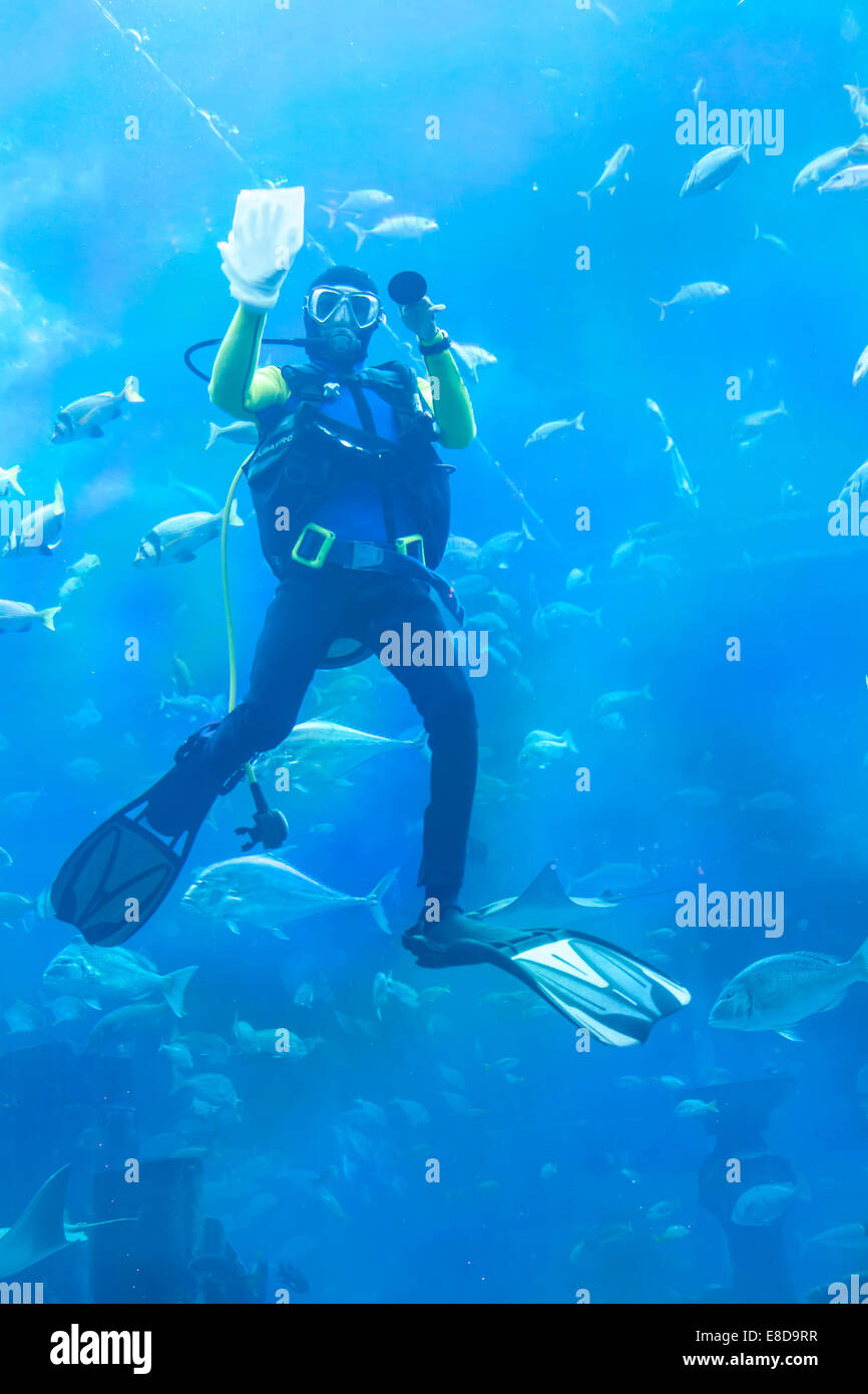 Taucher reinigt die Glasoberfläche in das Aquarium, Atlantis Legende Themenpark den Lost Chambers, Atlantis Dubai, The Palm Jumeirah Stockfoto