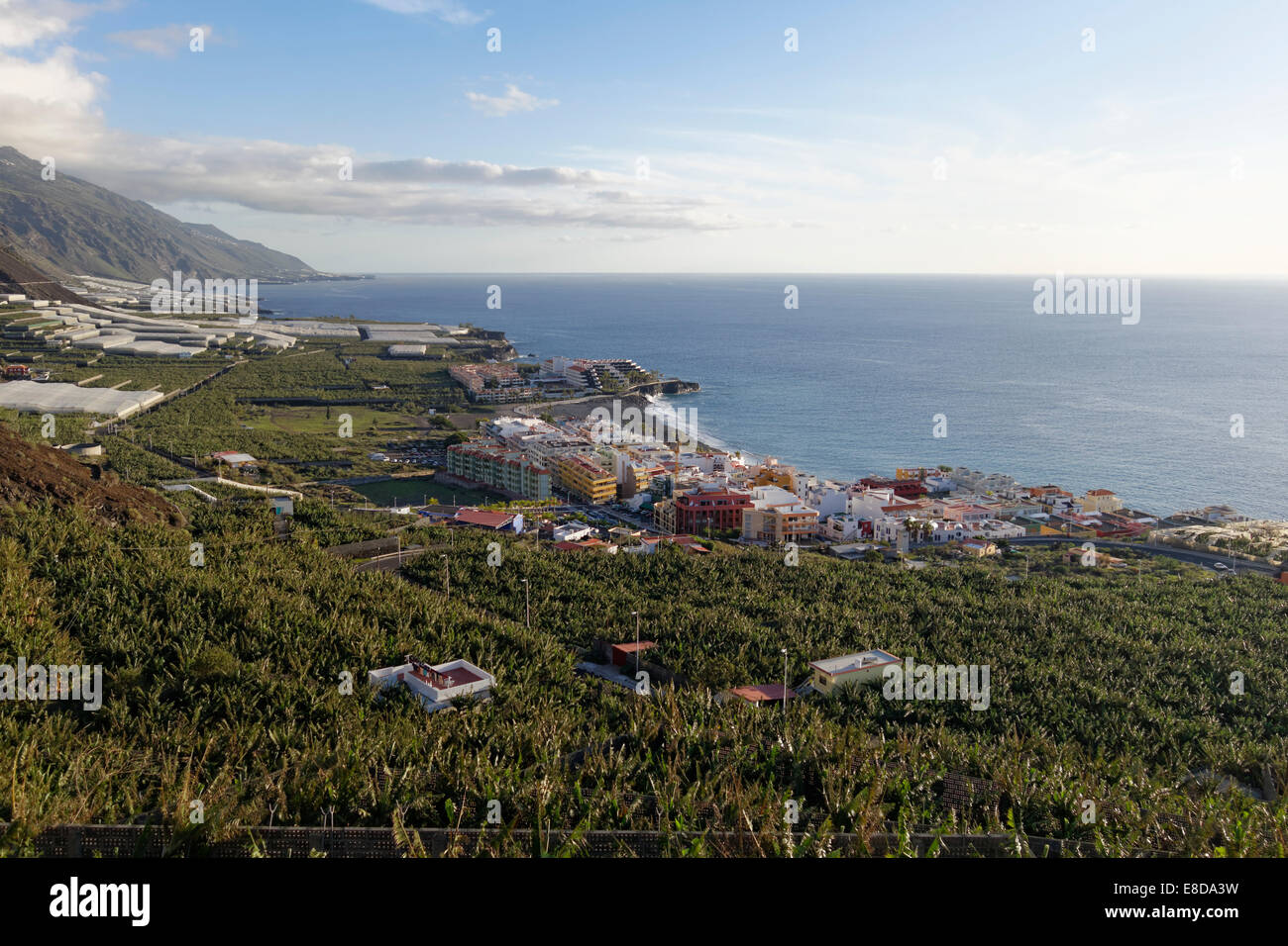 Puerto Naos und Bananen-Plantagen, La Palma, Kanarische Inseln, Spanien Stockfoto