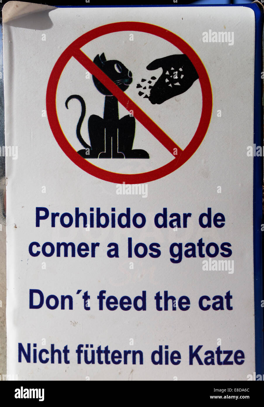 Dreisprachiges Schild füttern nicht die Katzen, Spanisch, Englisch und Deutsch, El Remo in Puerto Naos, La Palma, Kanarische Inseln, Spanien Stockfoto