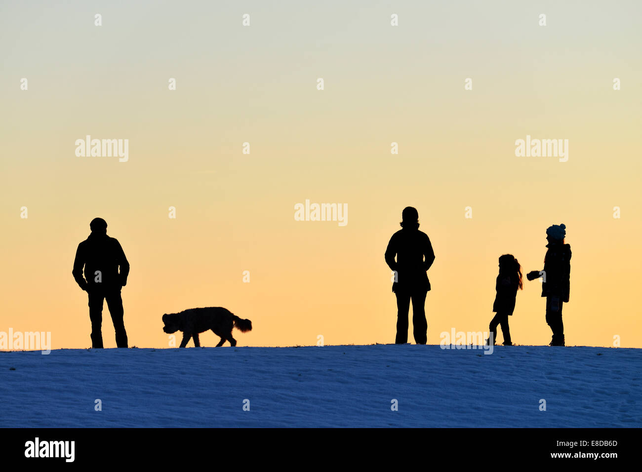 Familie mit Hund, Silhouette im Licht der untergehenden Sonne, Horben, Kanton Aargau, Schweiz Stockfoto