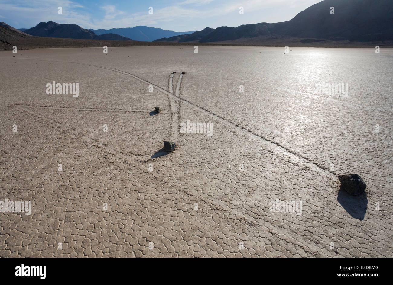 Spuren von den geheimnisvollen beweglichen Felsen an der "Rennstrecke", einer trockenen Seebett oder Playa, Death Valley erstellt Stockfoto