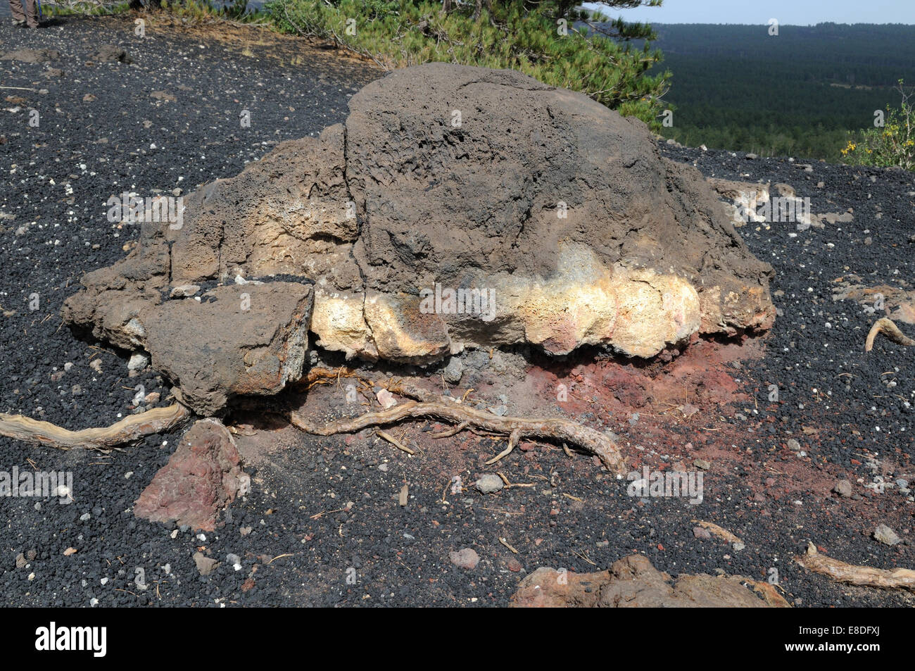 Sizilianische Lava Bombe Ergebnis 2002 Ausbruch des Mount Etma Sizilien Italien Stockfoto
