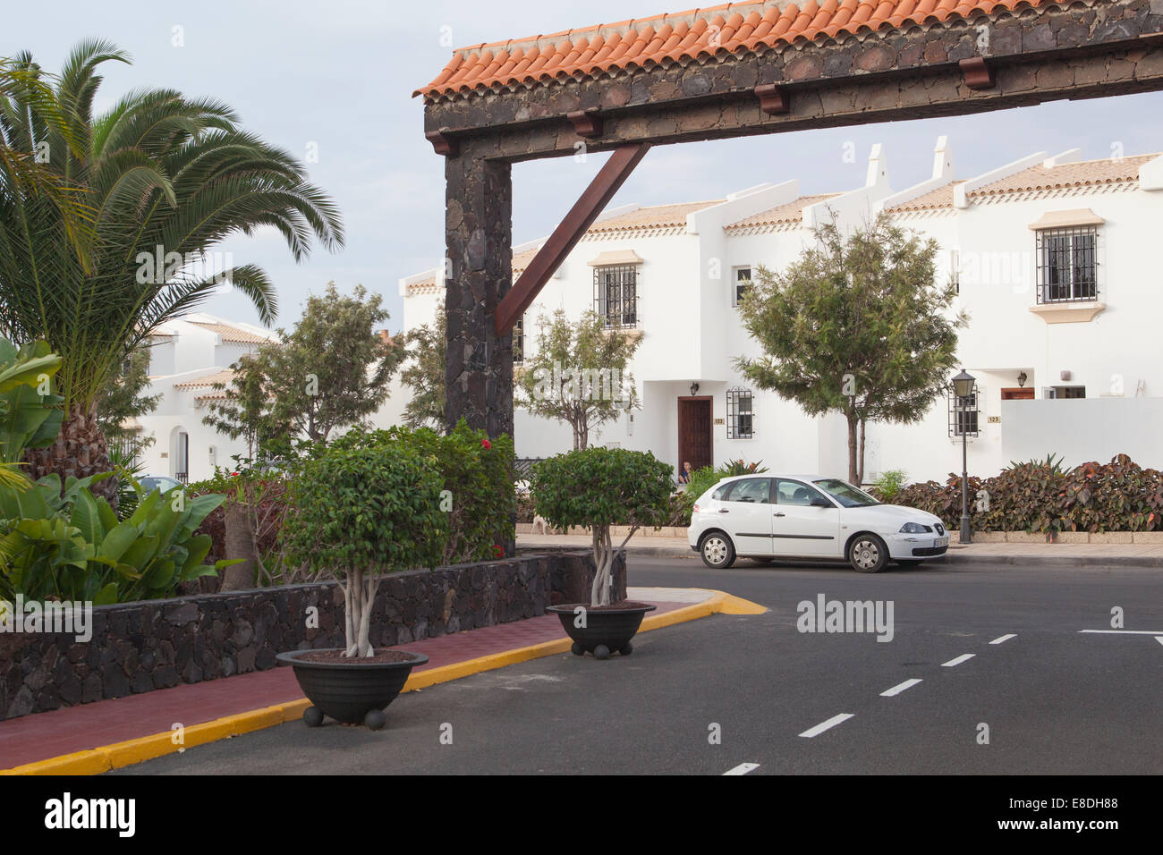 Palmen vor einer Villa Teneriffa Kanarische Inseln Stockfoto