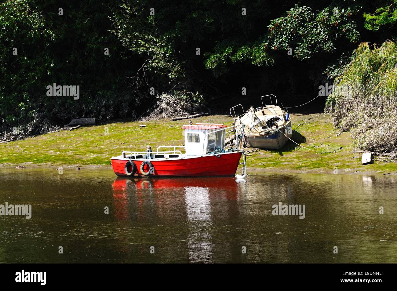 Fluss Dee mit Boote am Ufer, Chester, Cheshire, England, UK günstig, Westeuropa. Stockfoto
