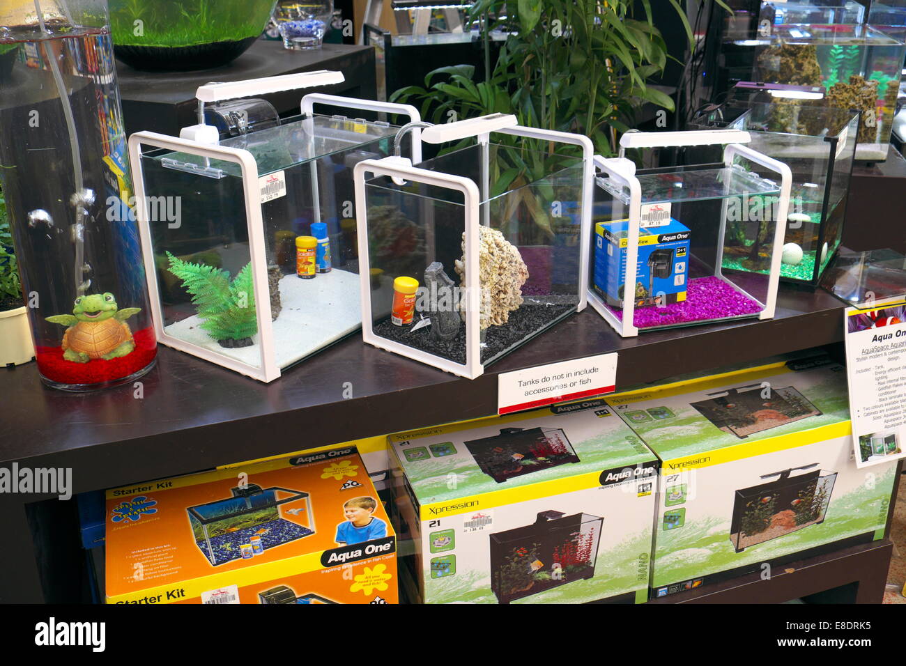 Fisch tanks Fotos und Bildmaterial in hoher Auflösung Alamy