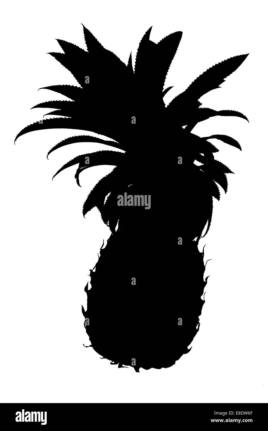 Silhouette Ananas im Glas auf weißem Hintergrund isoliert Stockfoto