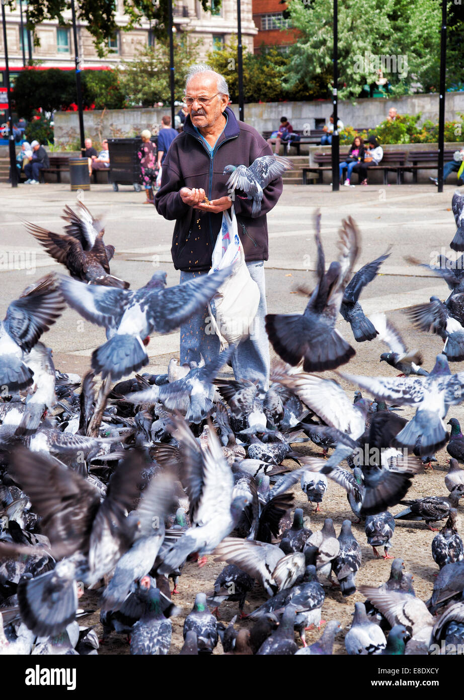 Ein Mann, der die Tauben füttern, am Marble Arch in London Stockfoto