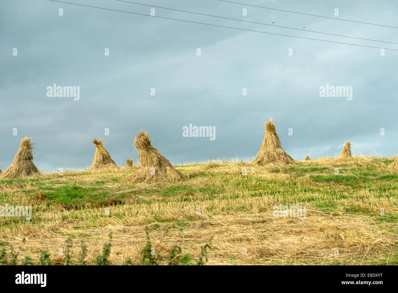 Heuhaufen auf einer Farm in Newtowncunningham, County Donegal, Irland, Europa Stockfoto