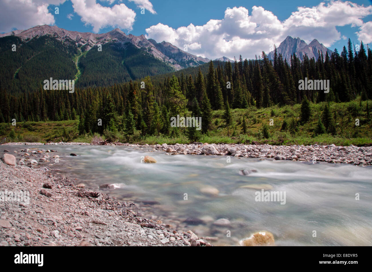 Fluss am Ende des Johnston Canyon Trail, British Columbia, Kanada Stockfoto