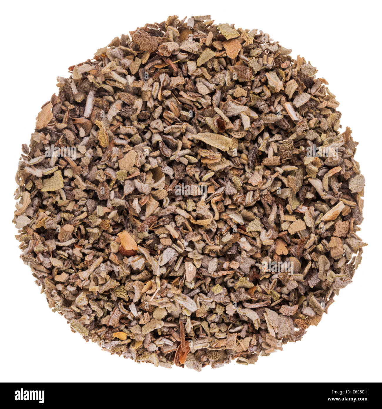 Salbei Makro Nahaufnahme Textur auf ein Perfect Circle und isoliert auf weißem Hintergrund Stockfoto