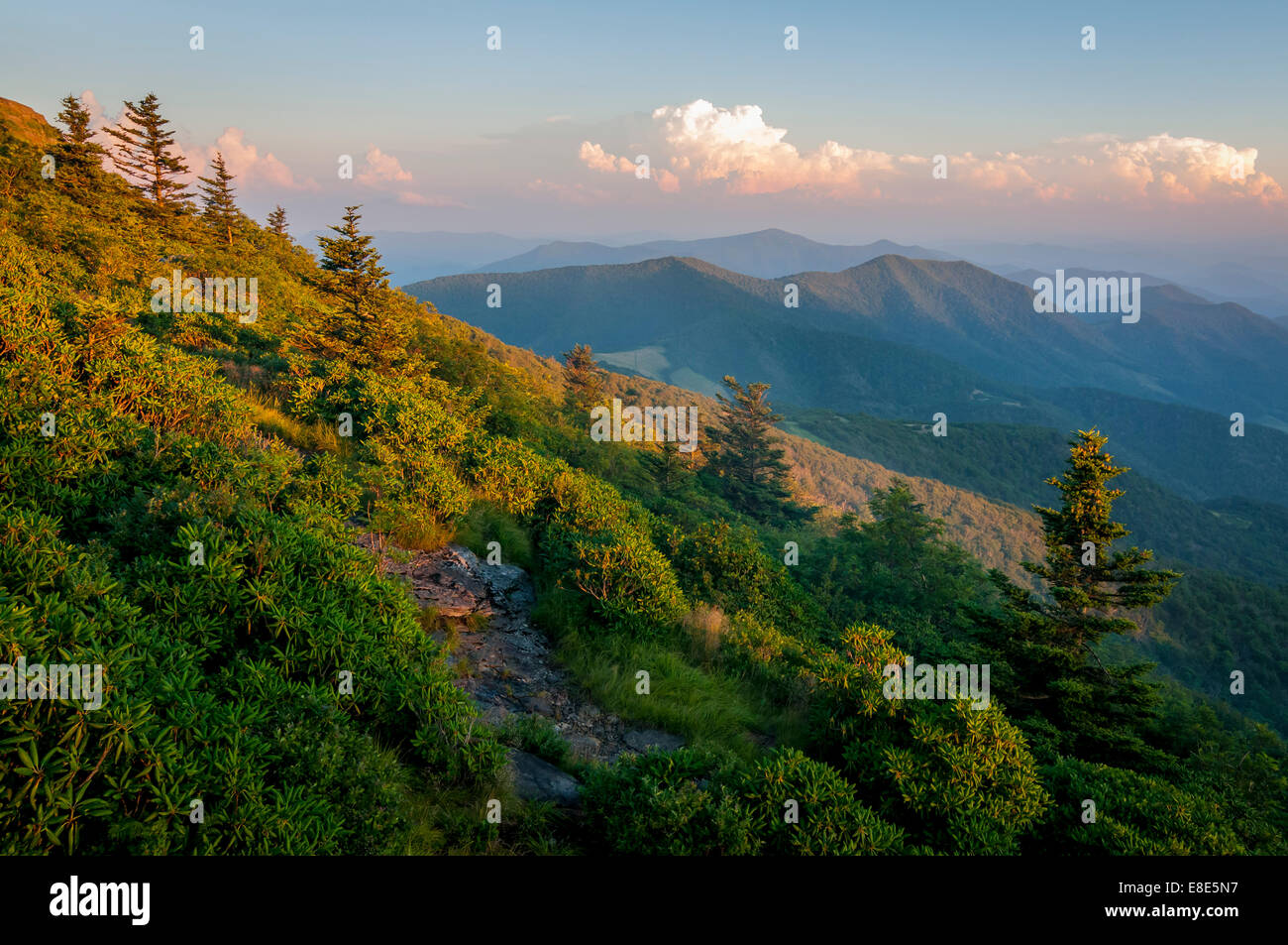 Am späten Nachmittag an Roan Mountain in North Carolina. Roan Mountain ist der höchste Punkt im Bereich von Roan-Unaka 6.285 zu Füßen. Stockfoto