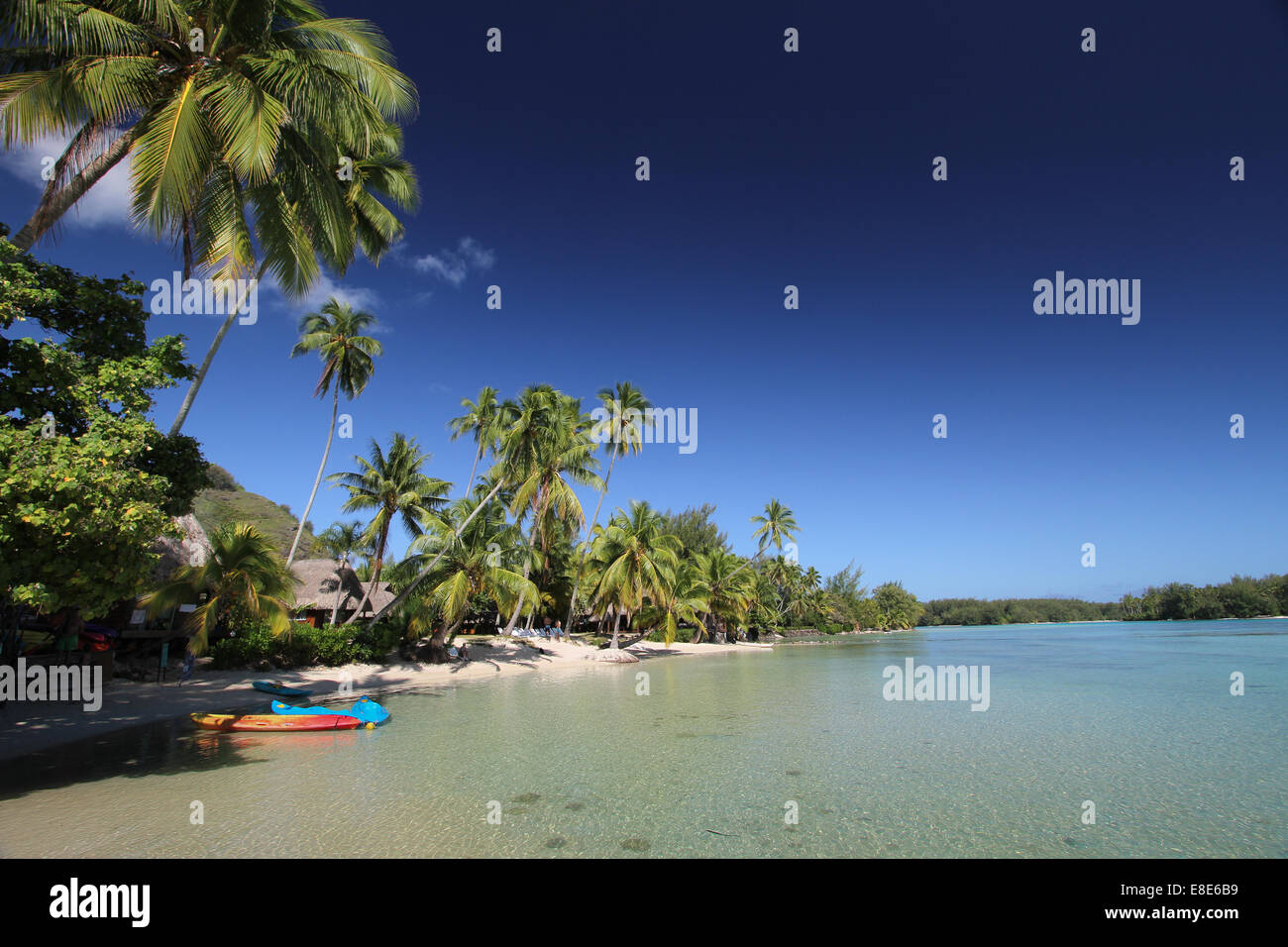 Palmen und bunten Kajaks auf tropischen weißen Sandstrand mit klaren Lagune Stockfoto