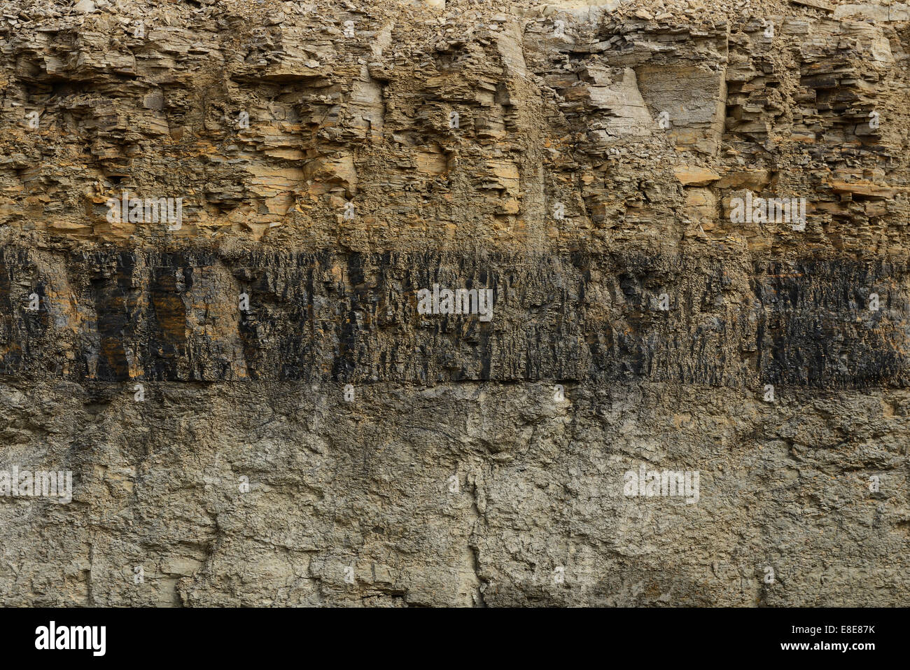 Eine Naht der Kohle in einen Querschnitt der Erde sichtbar Stockfoto