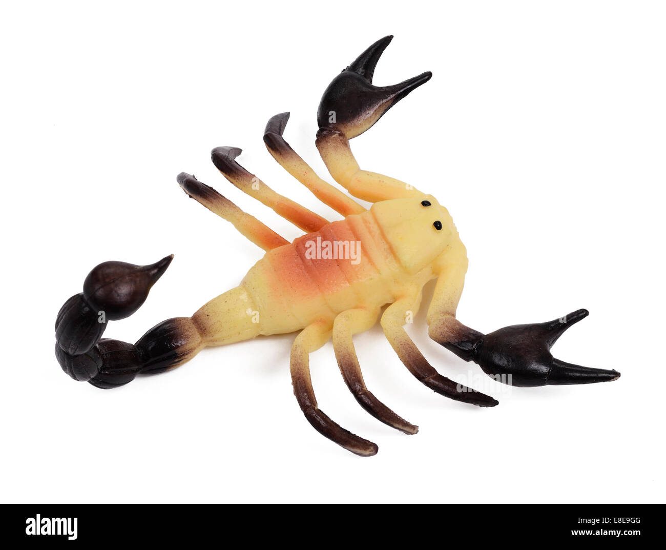 Spielzeug aus Plastik Skorpion Stockfoto