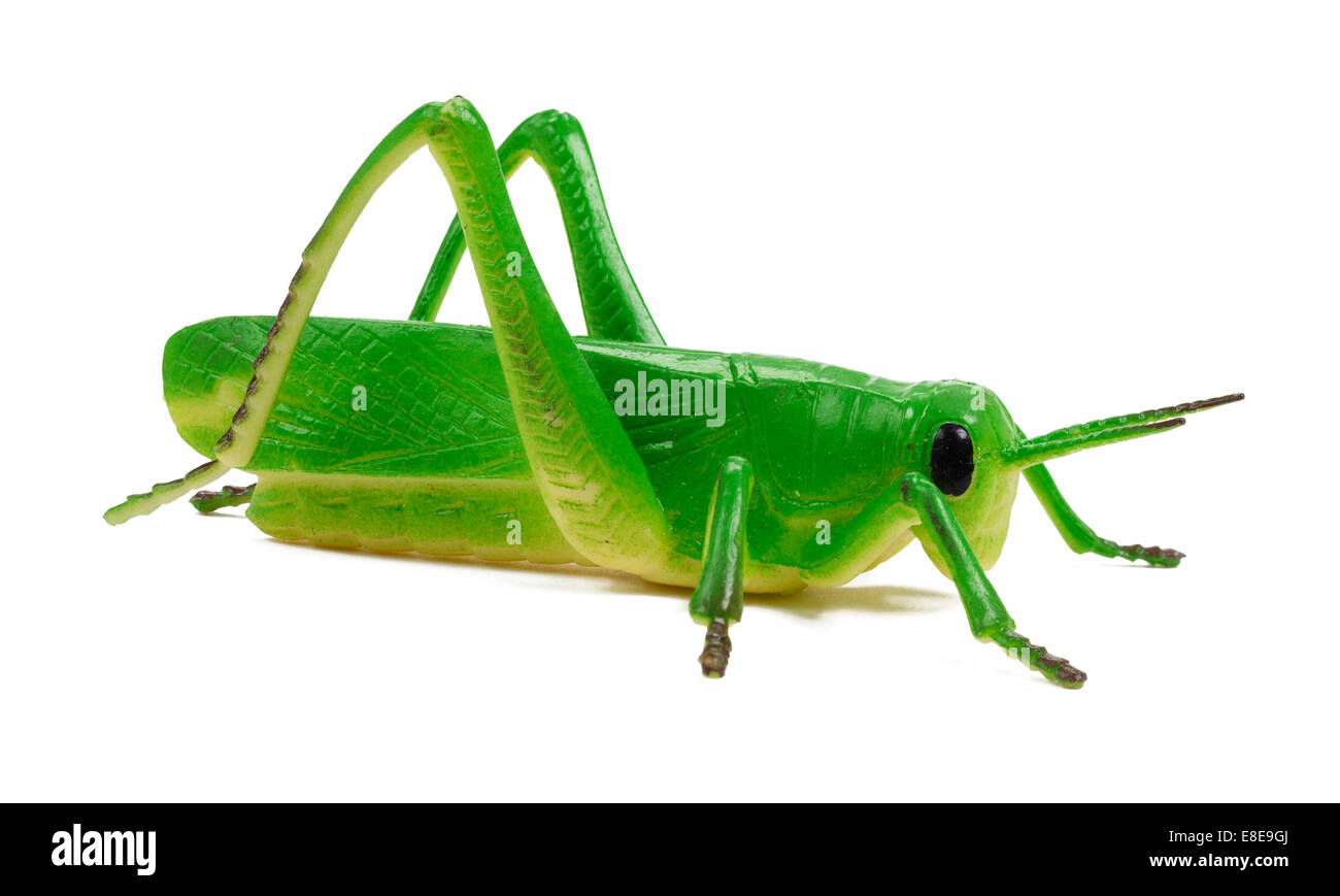 Kunststoff-Spielzeug grüne Heuschrecke Insekt Stockfoto