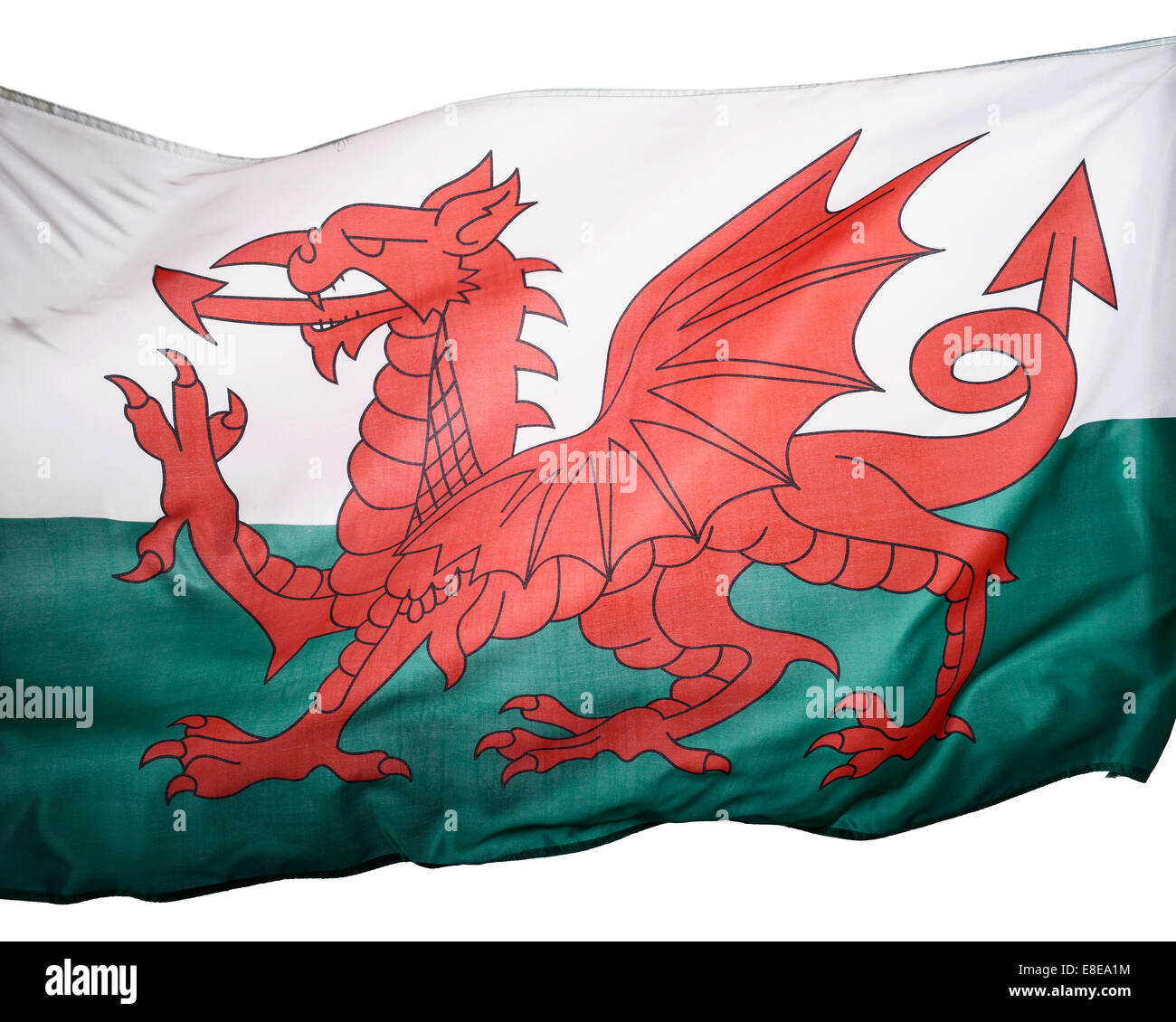 Detail einer walisischen Fahne hautnah Stockfoto