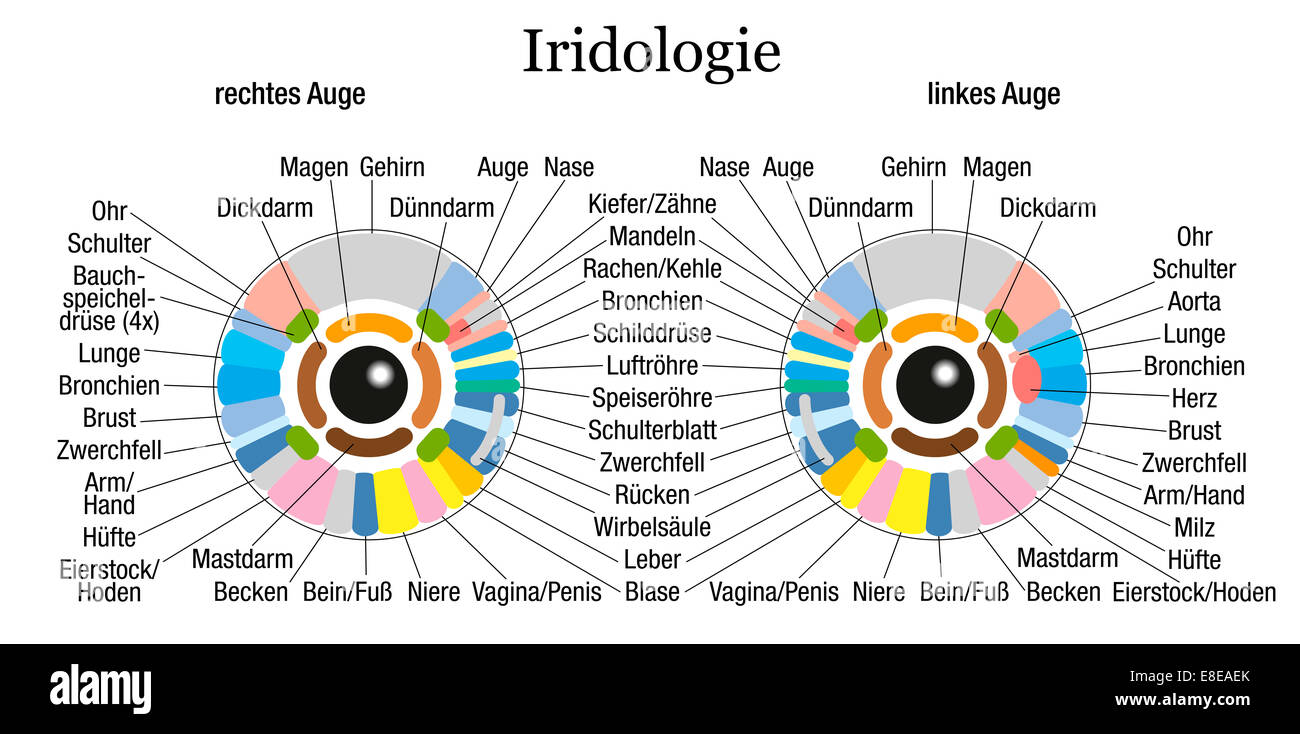 Iridologie oder Iris Diagnose Diagramm mit genauer Beschreibung der entsprechenden Organe und Körperteile - deutsche Beschriftung. Stockfoto