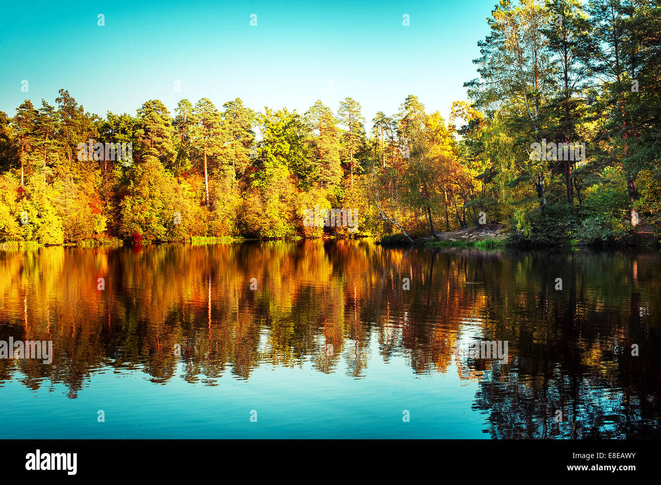 Sonnigen Tag im Park mit See und bunten Herbst Bäume Reflexion unter blauem Himmel im Freien. Erstaunlich hellen Farben der herbstlichen Natur Stockfoto