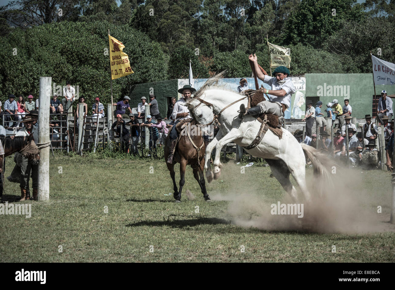 MARELLI-NOVEMBER 29:Gauchos konkurrieren in der Rodeo an der traditionellen Festival Provinz Maldonado "Lasso und Gitarren" im November Stockfoto