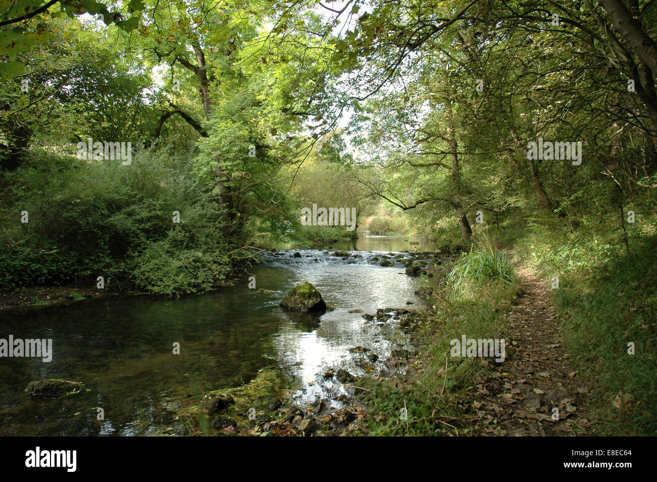 Fluss Wye in Millers Dale, Derbyshire, Peak District Stockfoto