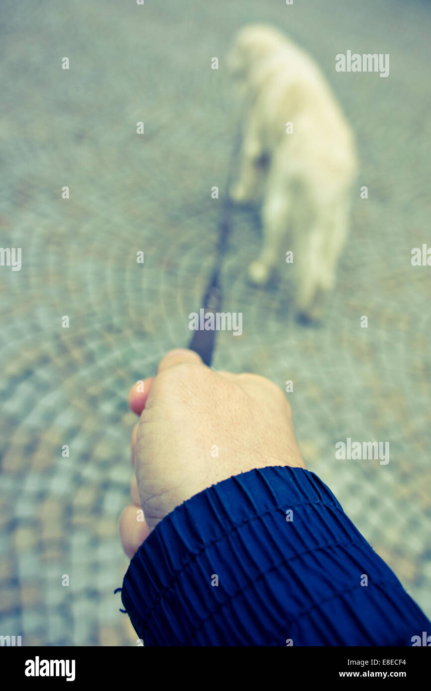 Spaziergang mit dem Hund, POV des Mannes hält die Peitsche Mann Stockfoto