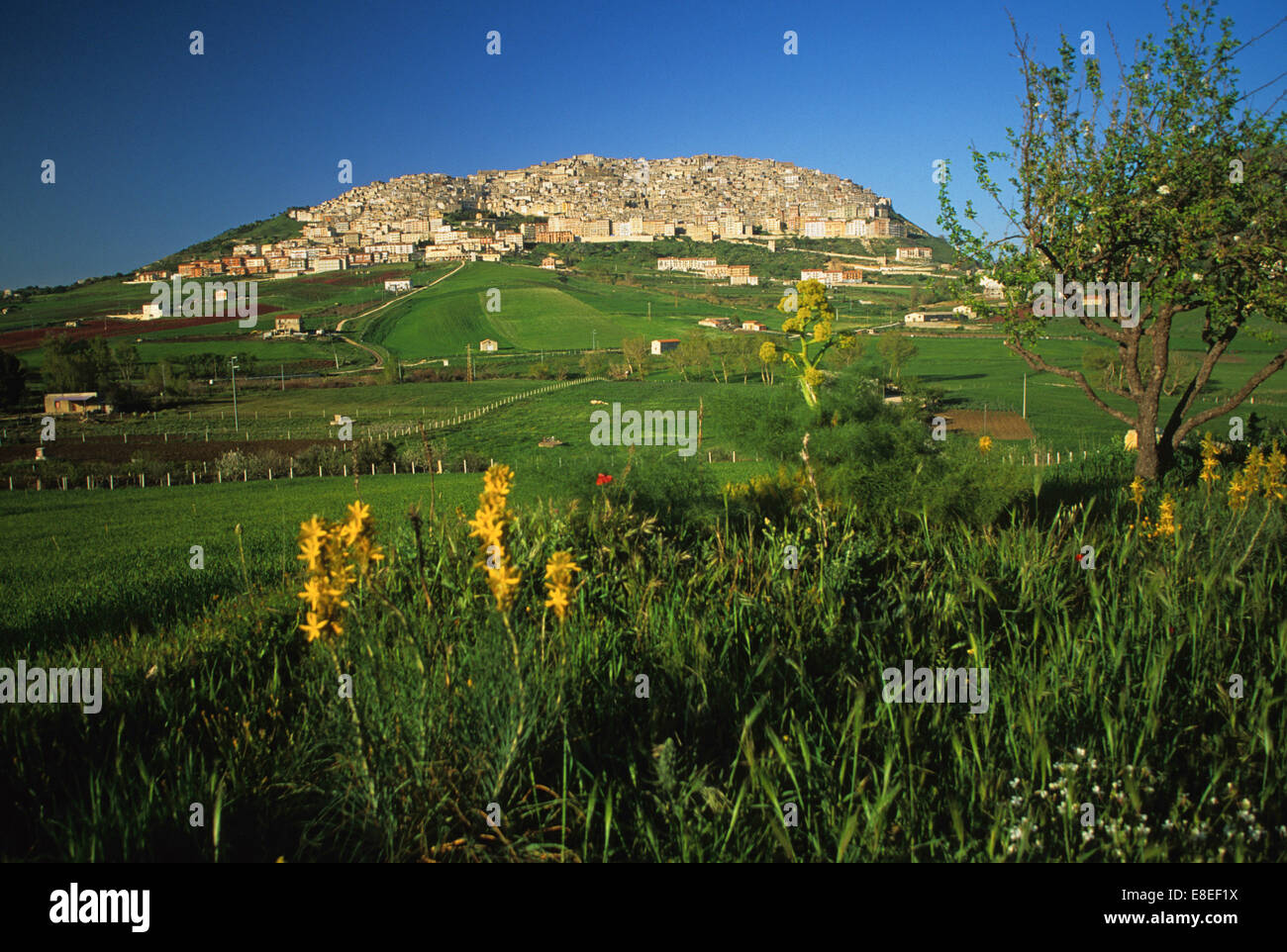 Sizilien, Sicilia, ist die größte Insel im Mittelmeer und hat eine sehr ausgeprägte Landschaft & Kultur Stockfoto