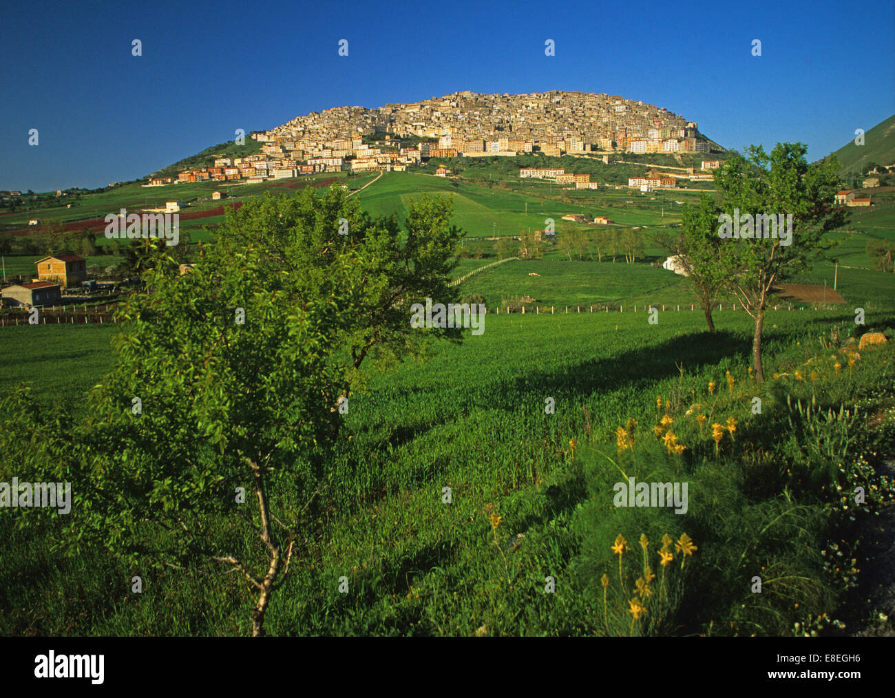 Sizilien, Sicilia, ist die größte Insel im Mittelmeer und hat eine sehr ausgeprägte Landschaft & Kultur Stockfoto
