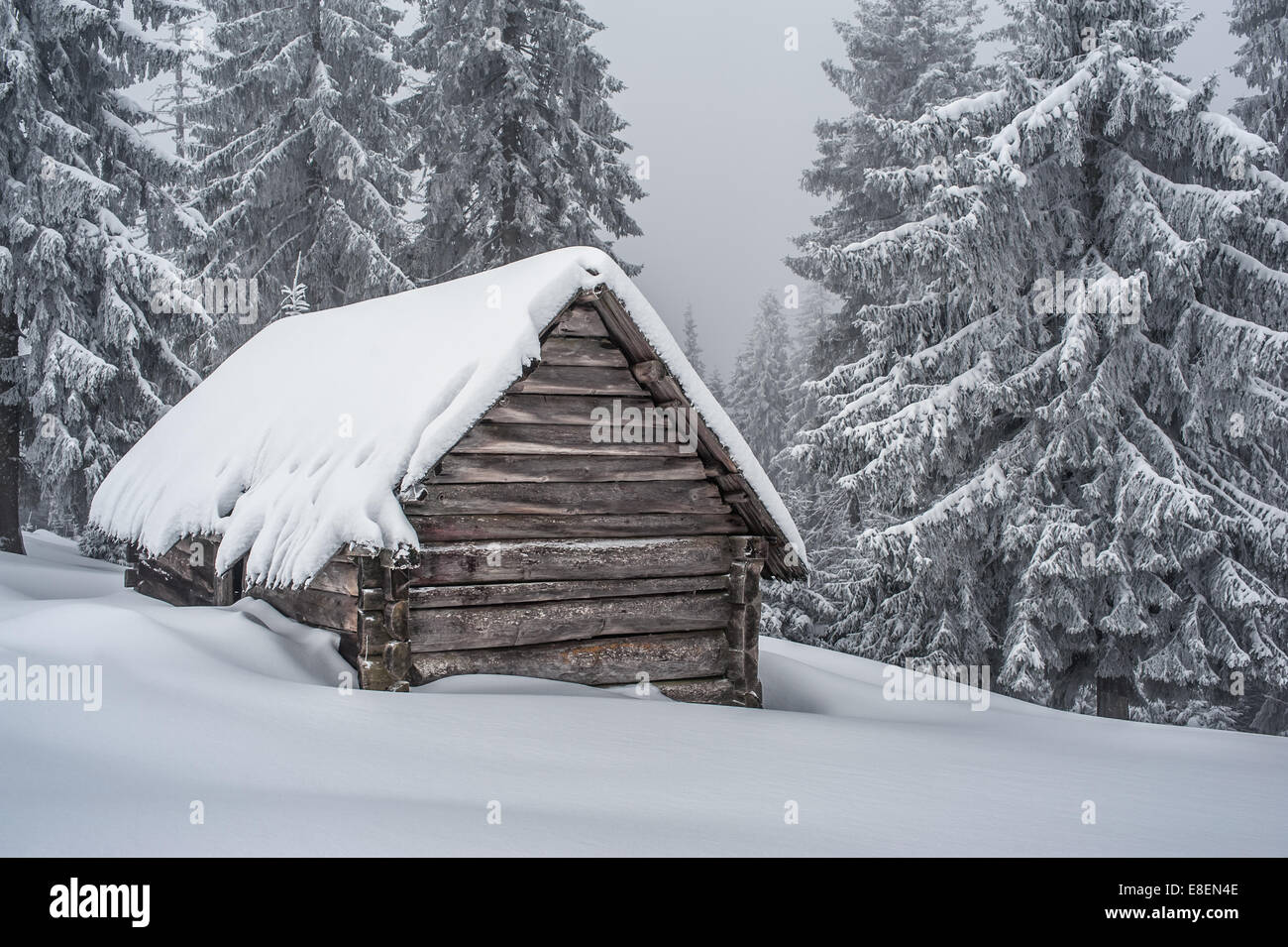 Holzhaus im Winterwald Stockfoto