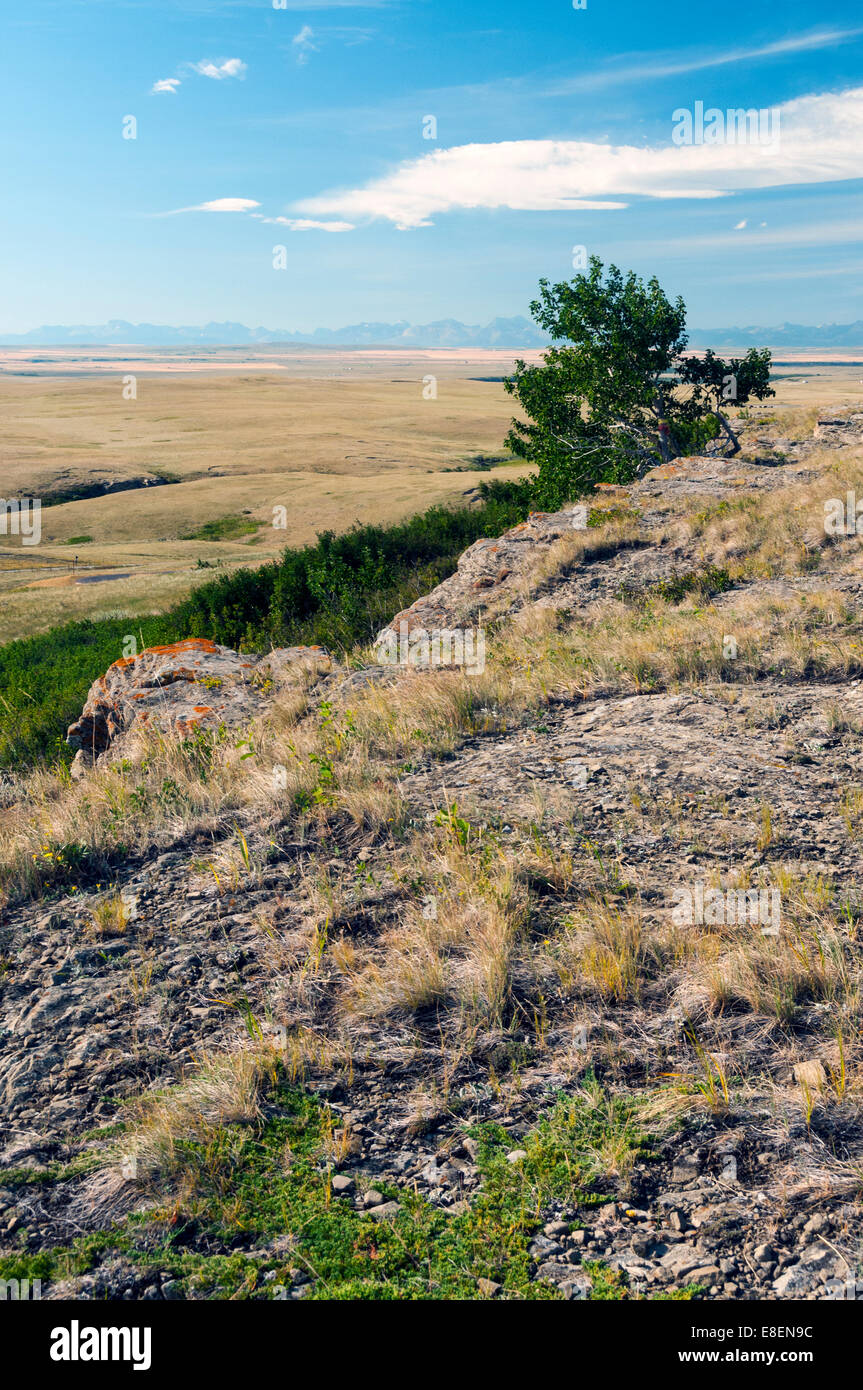 Elk203-6828v Kanada, Alberta, Fort Macleod, Kopf zertrümmert In Buffalo Jump, Klippe Landschaft Stockfoto