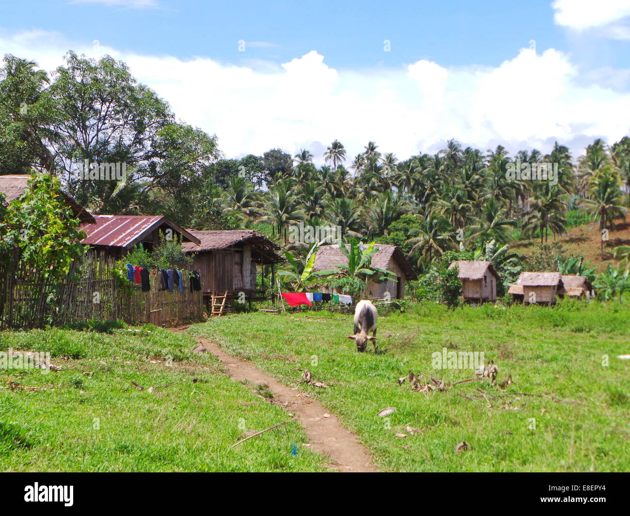 Native Häuser des Subanen-Stammes. Subanen gehört zu den vom Aussterben bedrohten Stämme in Mindanao. Dumingag Stadt in der Provinz Zamboanga del Sur in der Insel von Mindanao hält fest an der Erhaltung der Kulturen und Traditionen ihrer Stadt, in der Tat während Stadt Fiestas, Pop-Tanz sind verboten und traditionelle Lieder und Tänze werden gefördert, um ihren kulturellen stolz zu lindern. © Sherbien Dacalanio/Pacific Press/Alamy Live-Nachrichten Stockfoto