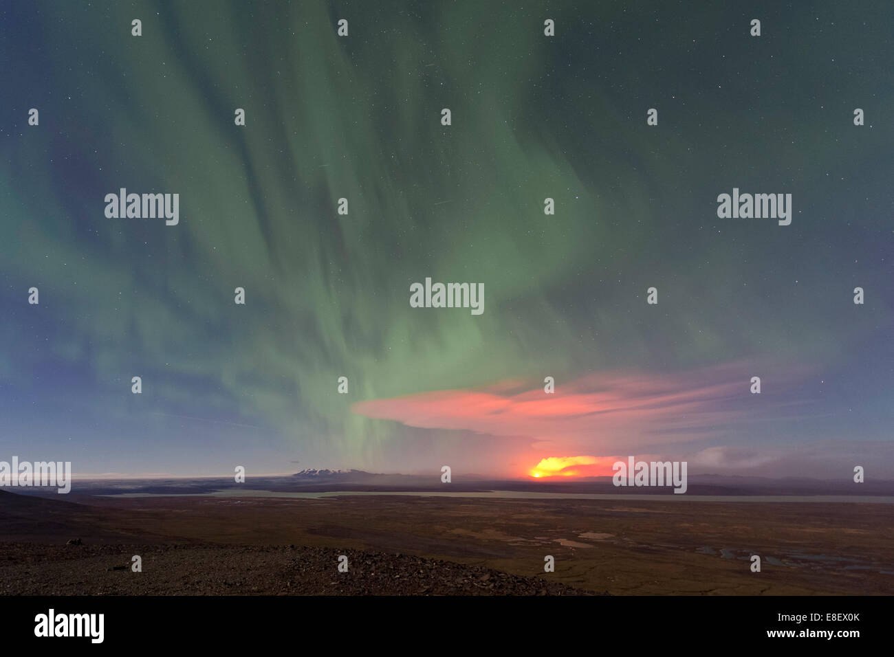 Asche und Gas Wolke aus den Holuhraun Riss Ausbruch, in der Nähe des Vulkans Bárðarbunga, Nordlicht, highlands Stockfoto