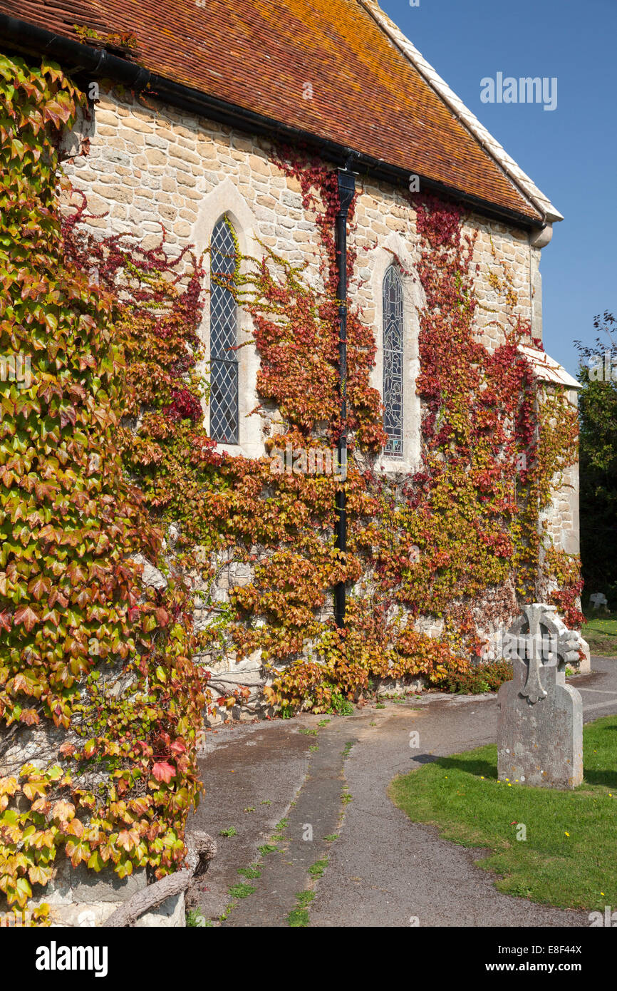 Efeu an der Wand der St. Peter Kirche, Selsey, West Sussex Stockfoto