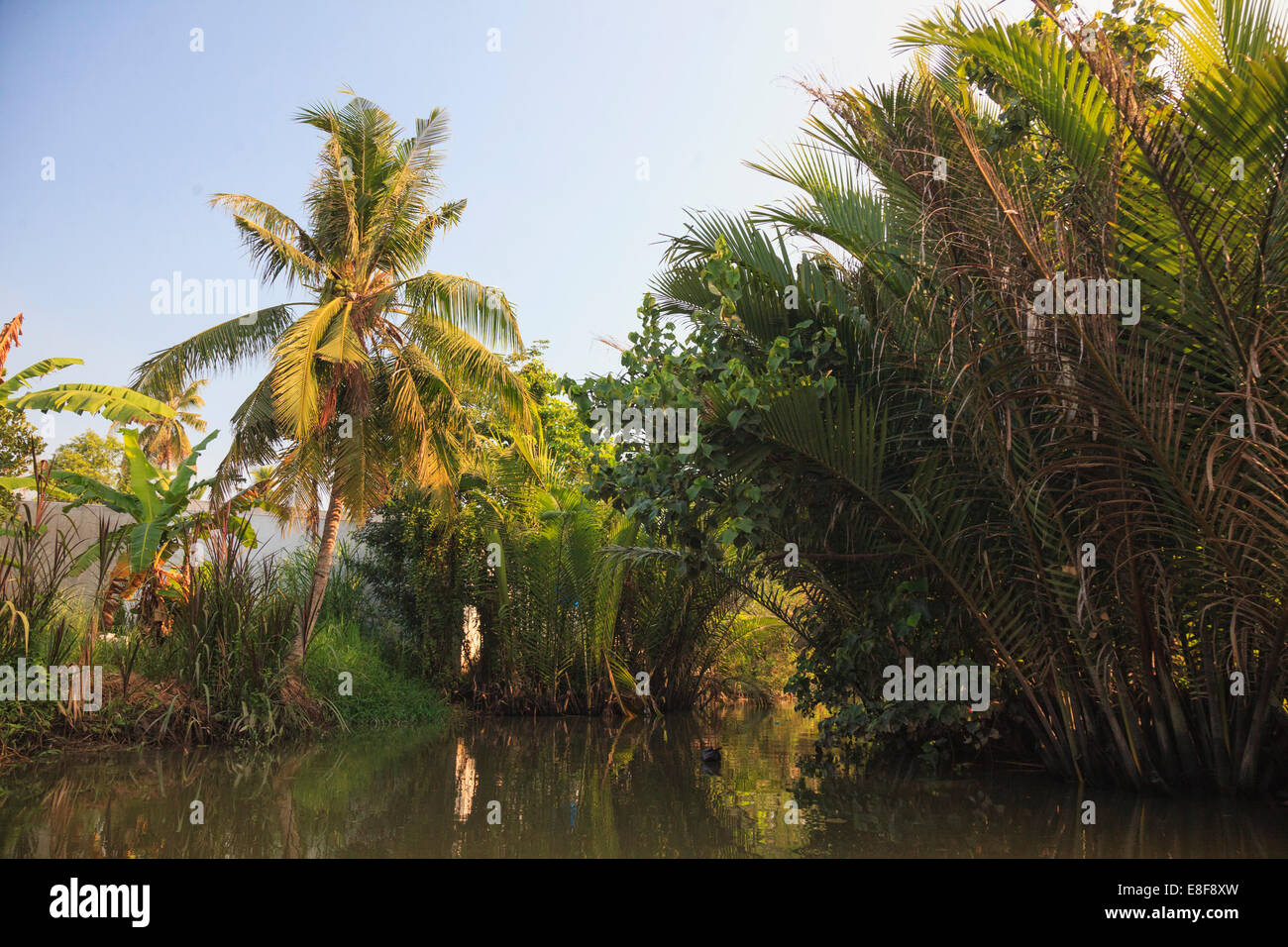 Vietnam, Mekong-Delta, Can Tho, Kanäle in der Stadt Stockfoto