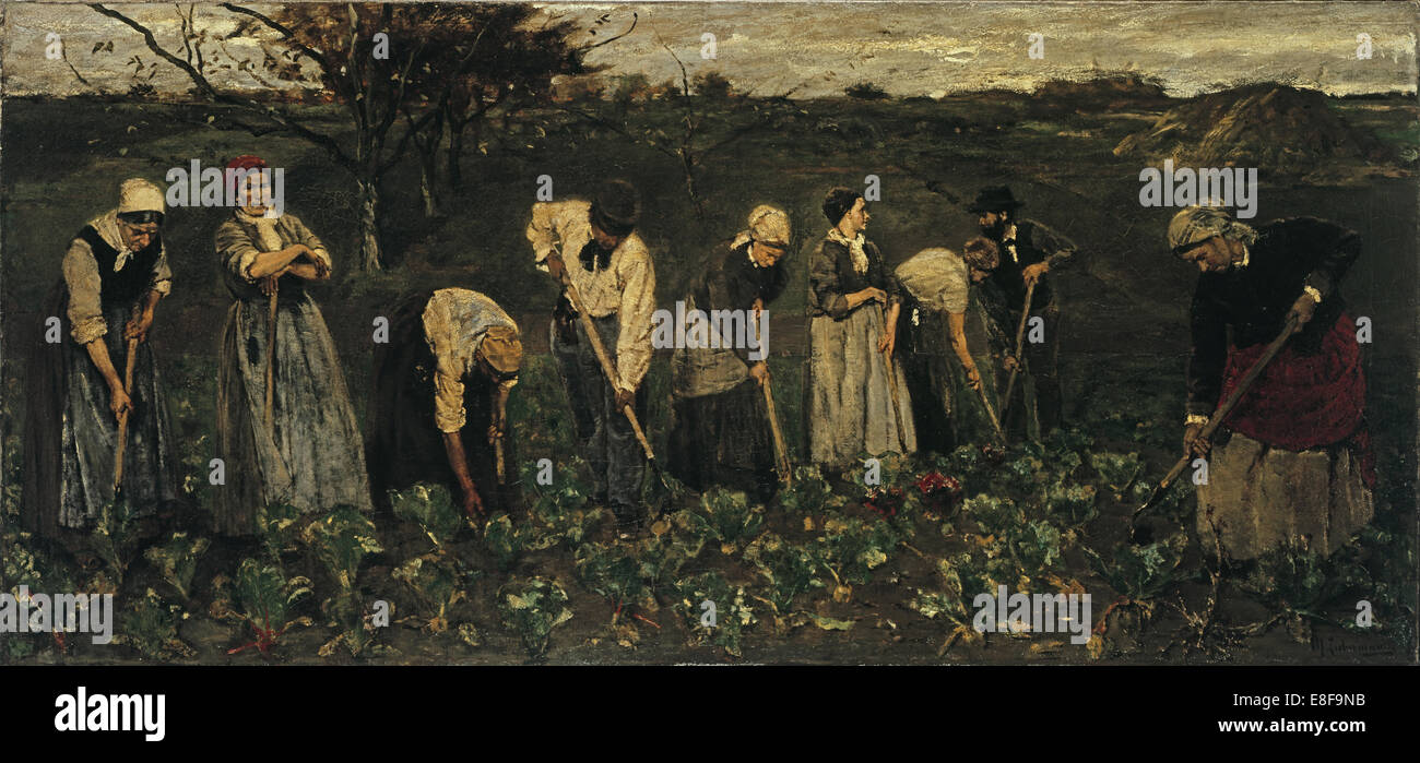 Arbeiter auf dem Feld der Rüben. Künstler: Liebermann, Max (1847-1935) Stockfoto