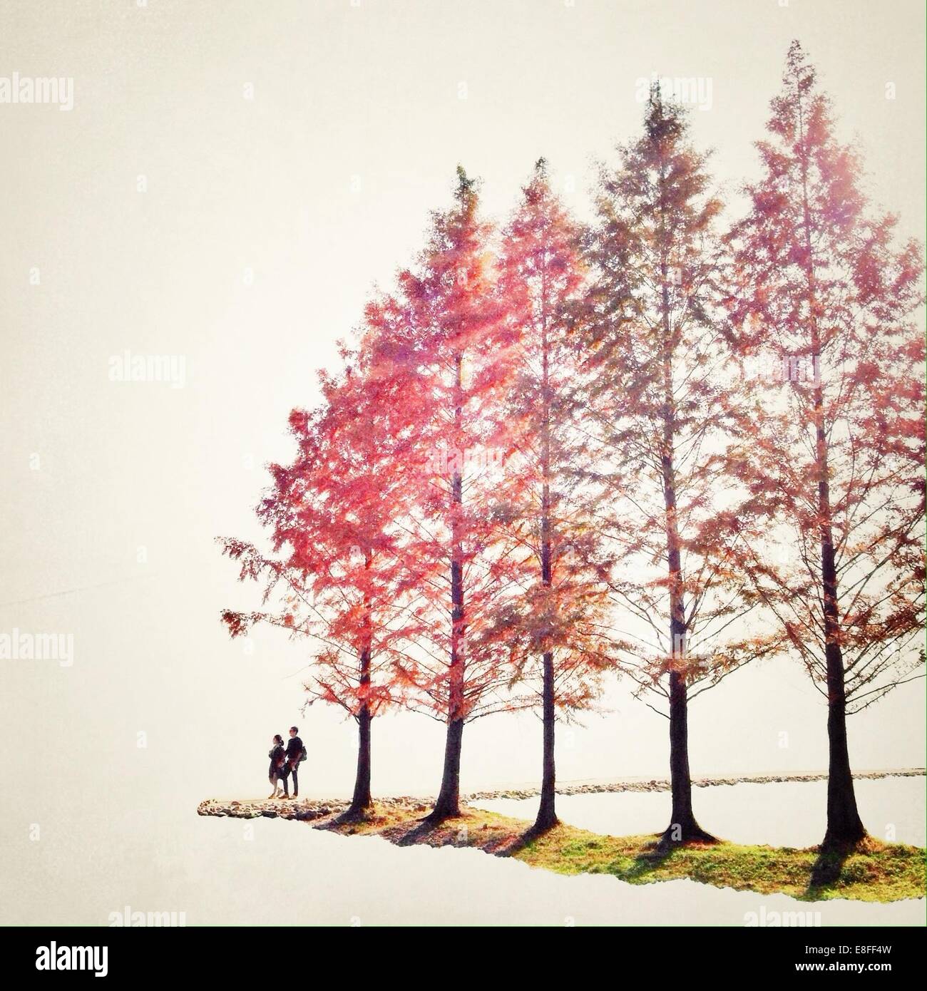 Paar, die an Bäumen vorbeigehen, Südkorea Stockfoto