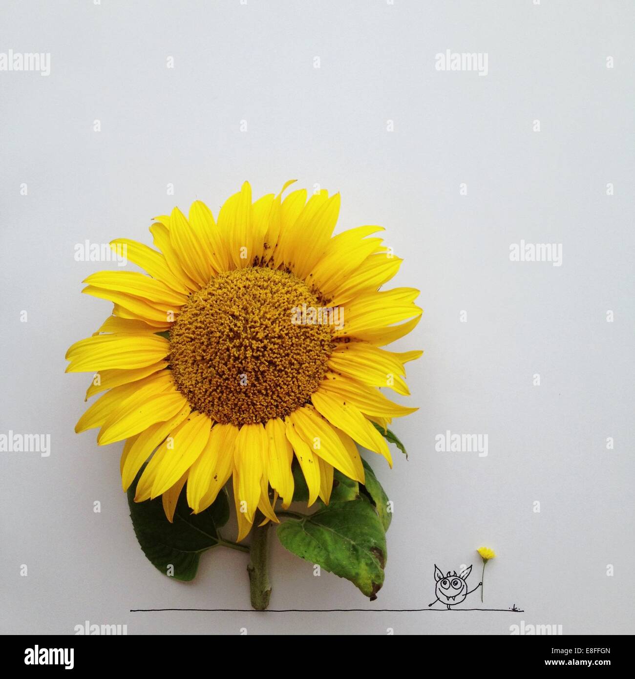 Konzeptuelle Charakter tatenlos eine Sonnenblume halten eine Butterblume Stockfoto