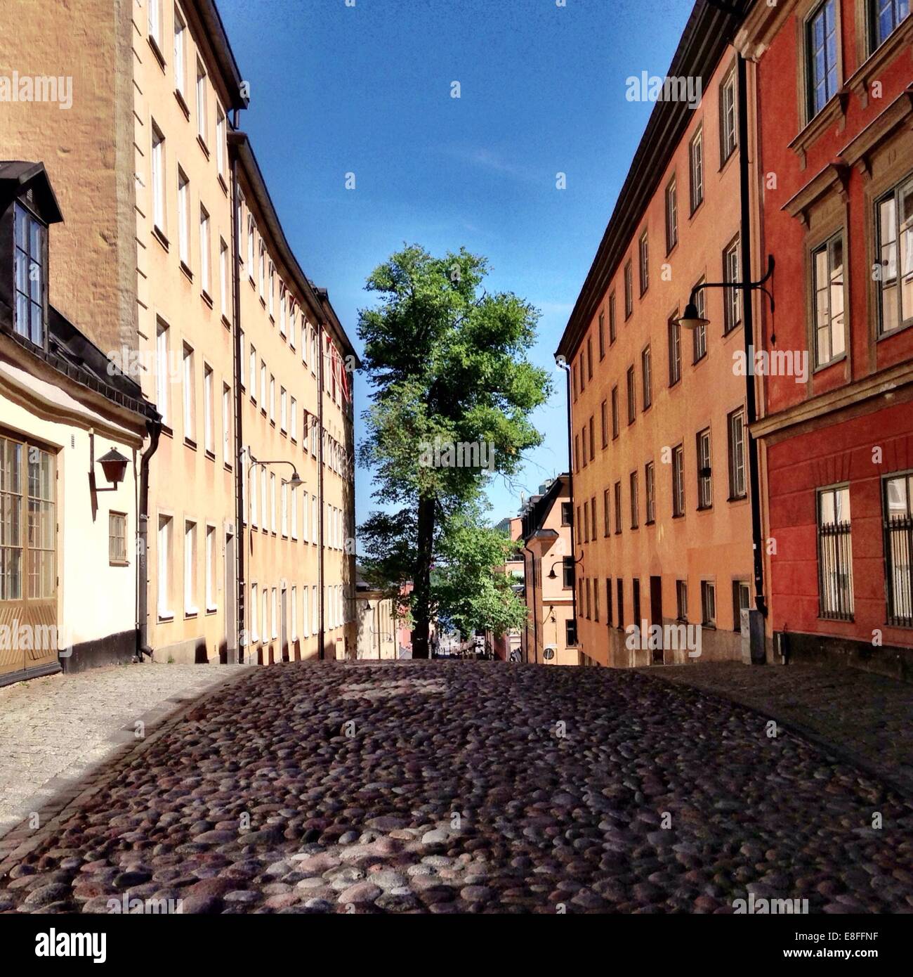 Kopfsteinpflaster, Stockholm, Schweden Stockfoto