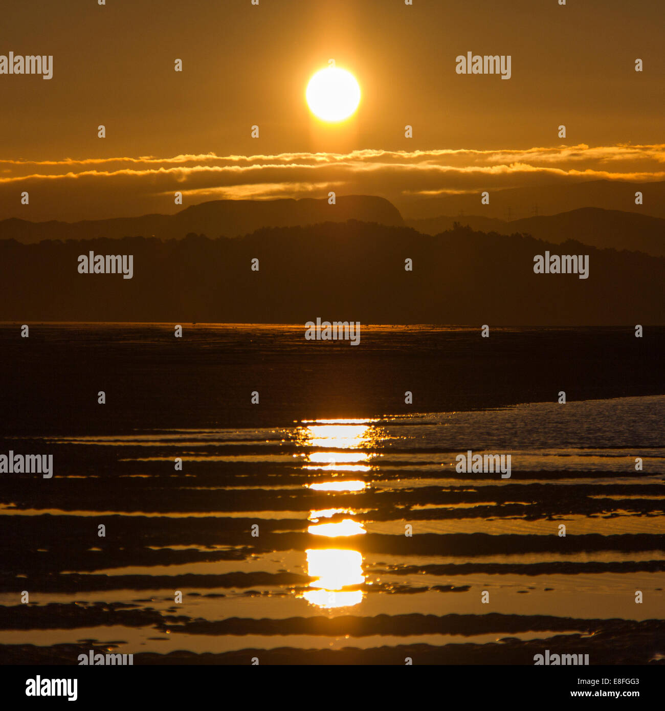 Landschaft mit Sonne spiegelt sich in Pfützen Stockfoto