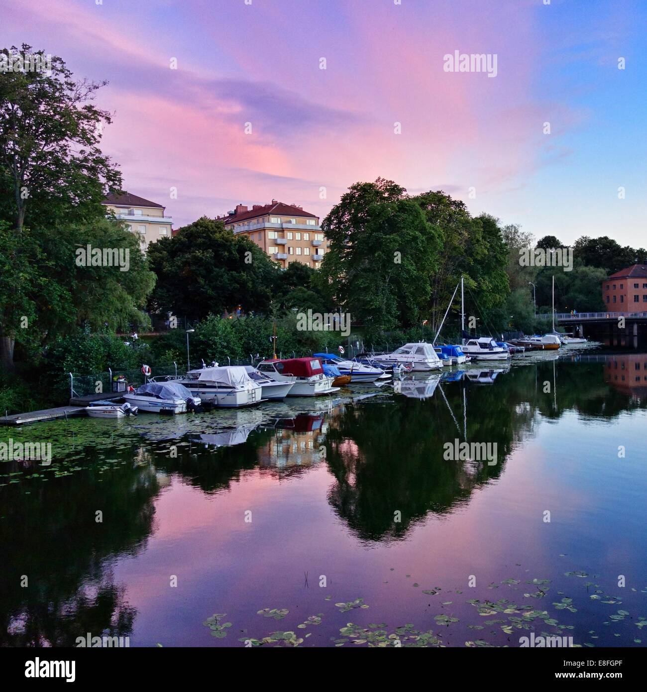 Schweden, Stockholm, Boote am Steg im Sommer bei Sonnenuntergang Stockfoto
