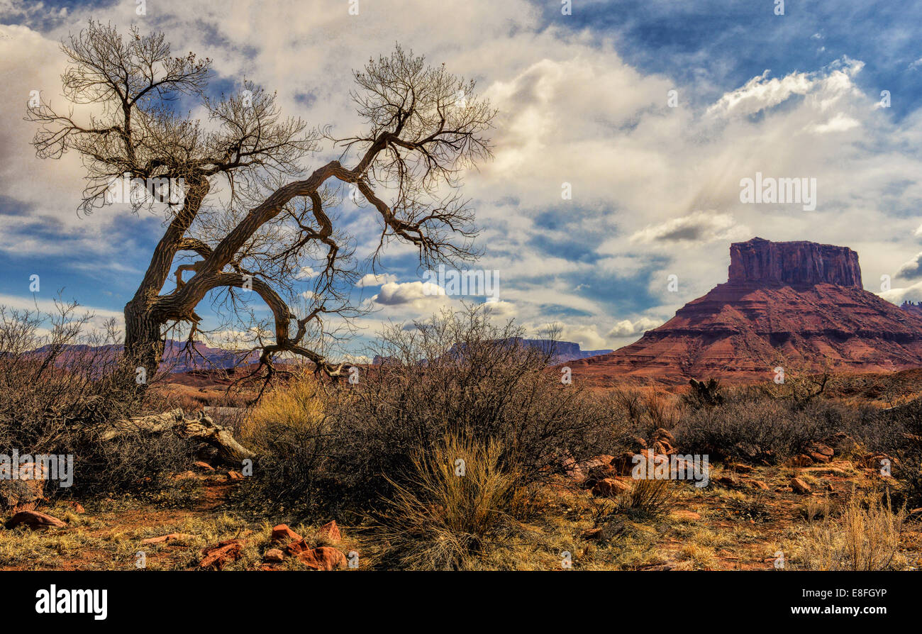 Dramatische Landschaft in der Nähe der River Road, Moab, Utah, USA Stockfoto