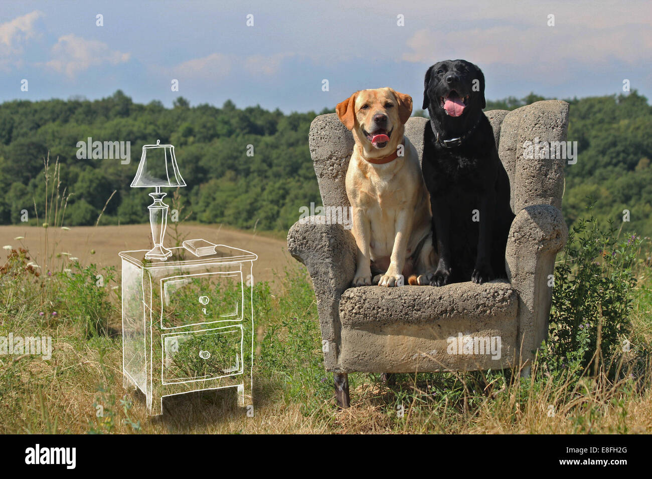 Konzeptuelles Bild von Hunden, die in einem Wohnzimmer im Freien sitzen Stockfoto