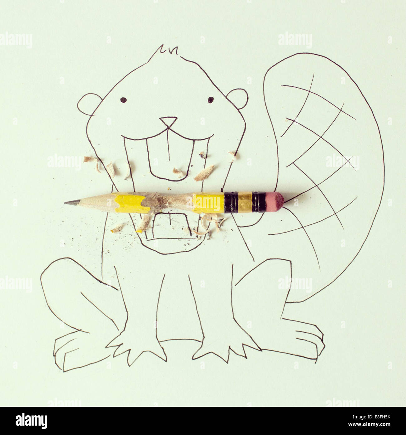 Konzeptionelle Biber kauen Holzscheit Stockfoto