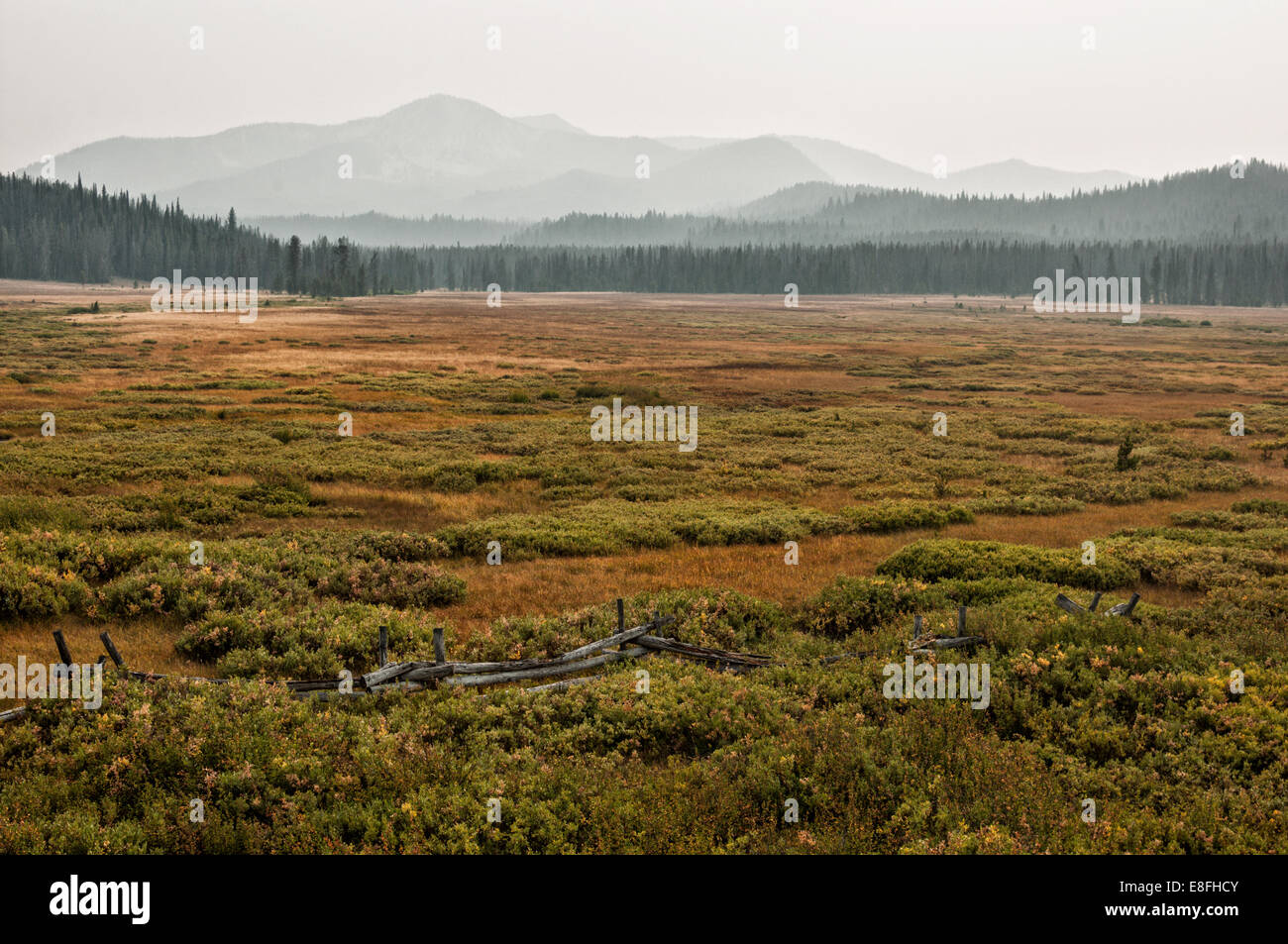 USA, Idaho, Custer County, Stanley, Smokey Mountains in nebligen Tag Stockfoto