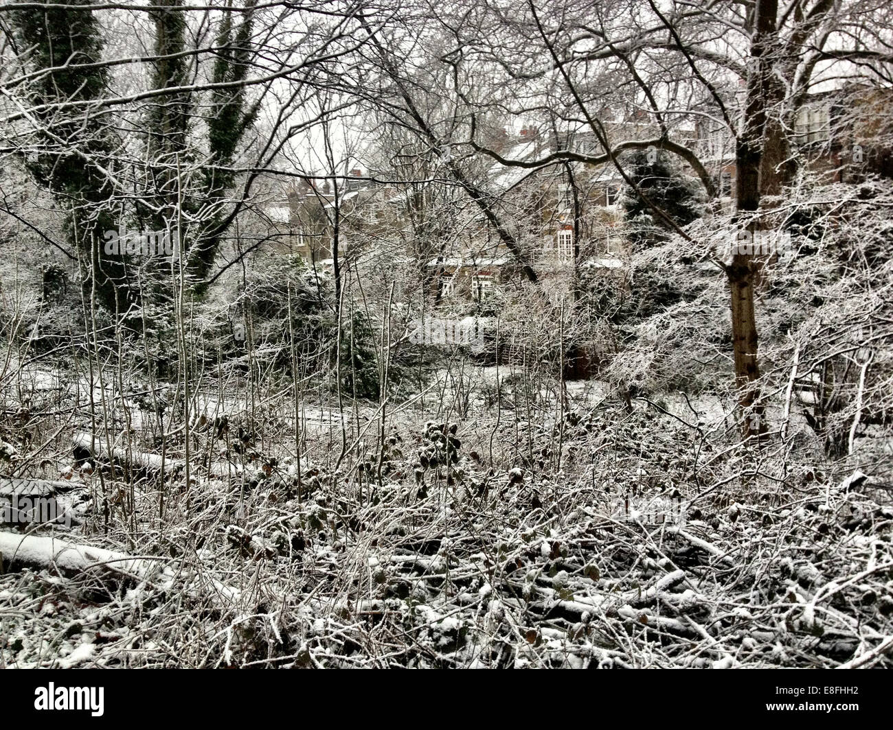 UK, London, London Borough of Haringey, Highgate Village, Urban Winterszene mit Häusern Stockfoto