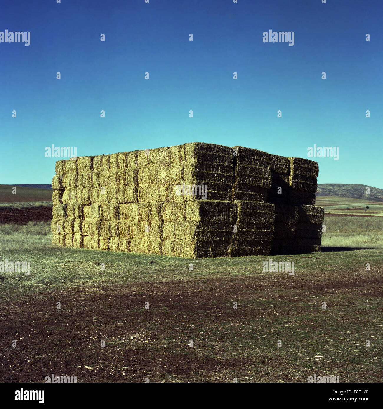 Strohballen auf einem Feld Stockfoto