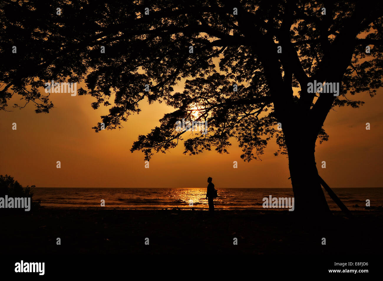 Indonesien, Süd-Kalimantan, Banjarmasin, Silhouette der Mann zu Fuß am Strand Stockfoto