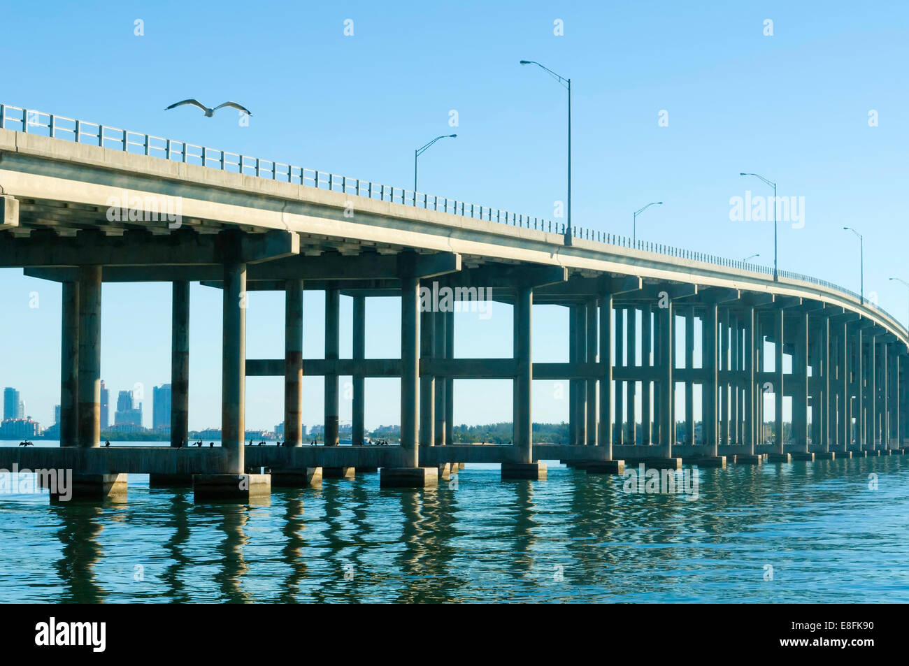 USA, Florida, Biscayne Bay, Möwen fliegen über lange Verkehr Brücke Stockfoto