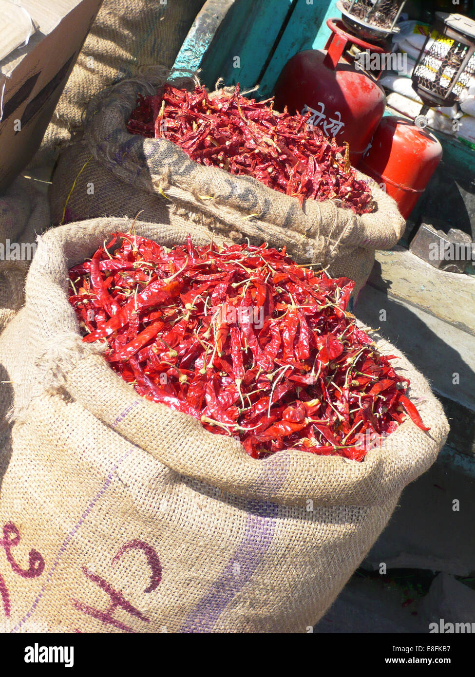 Säcke mit roten Chilischoten, Indien Stockfoto