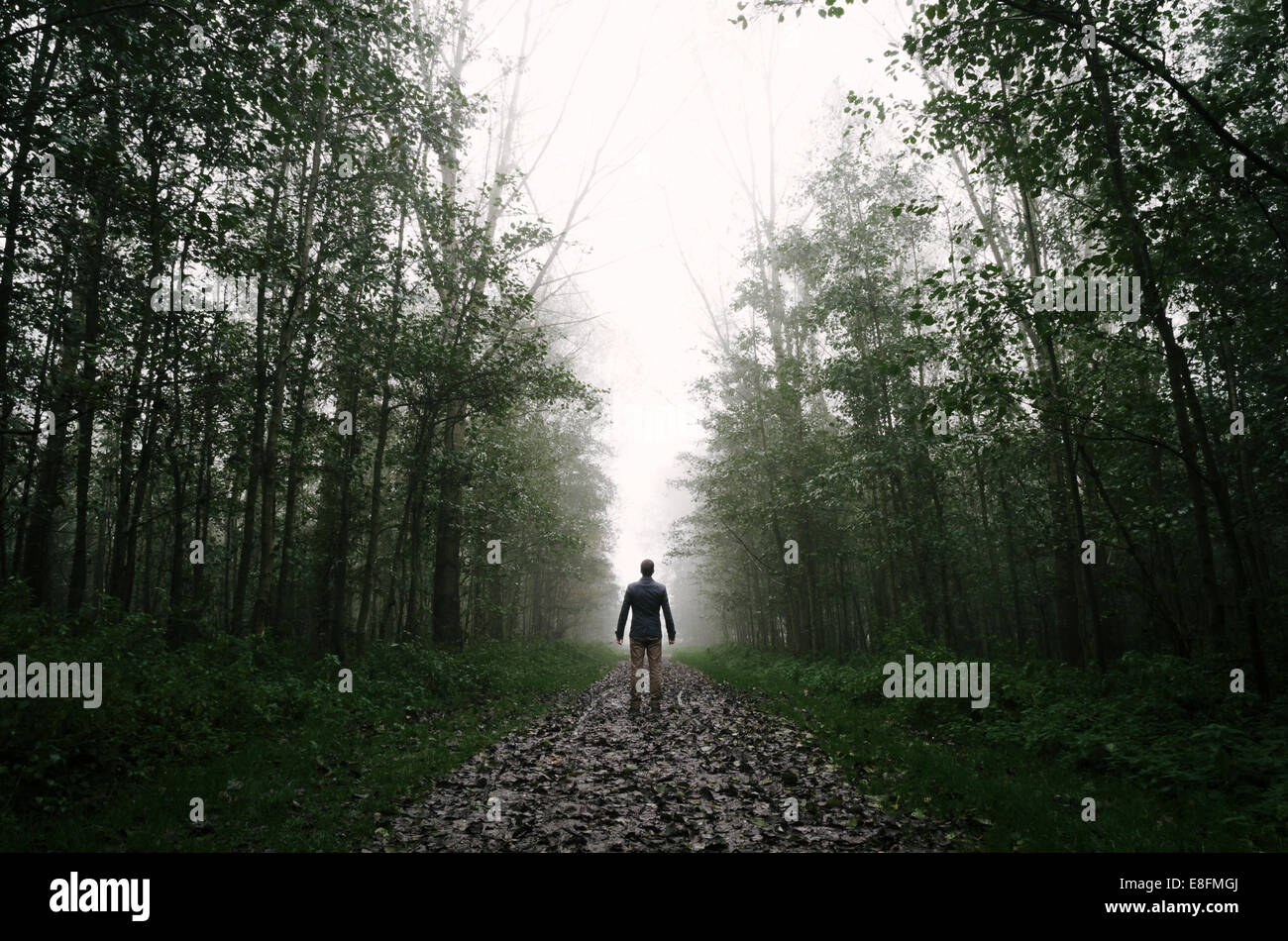 Rückansicht des Mannes, der auf einem Fußweg im Wald steht, Niederlande Stockfoto