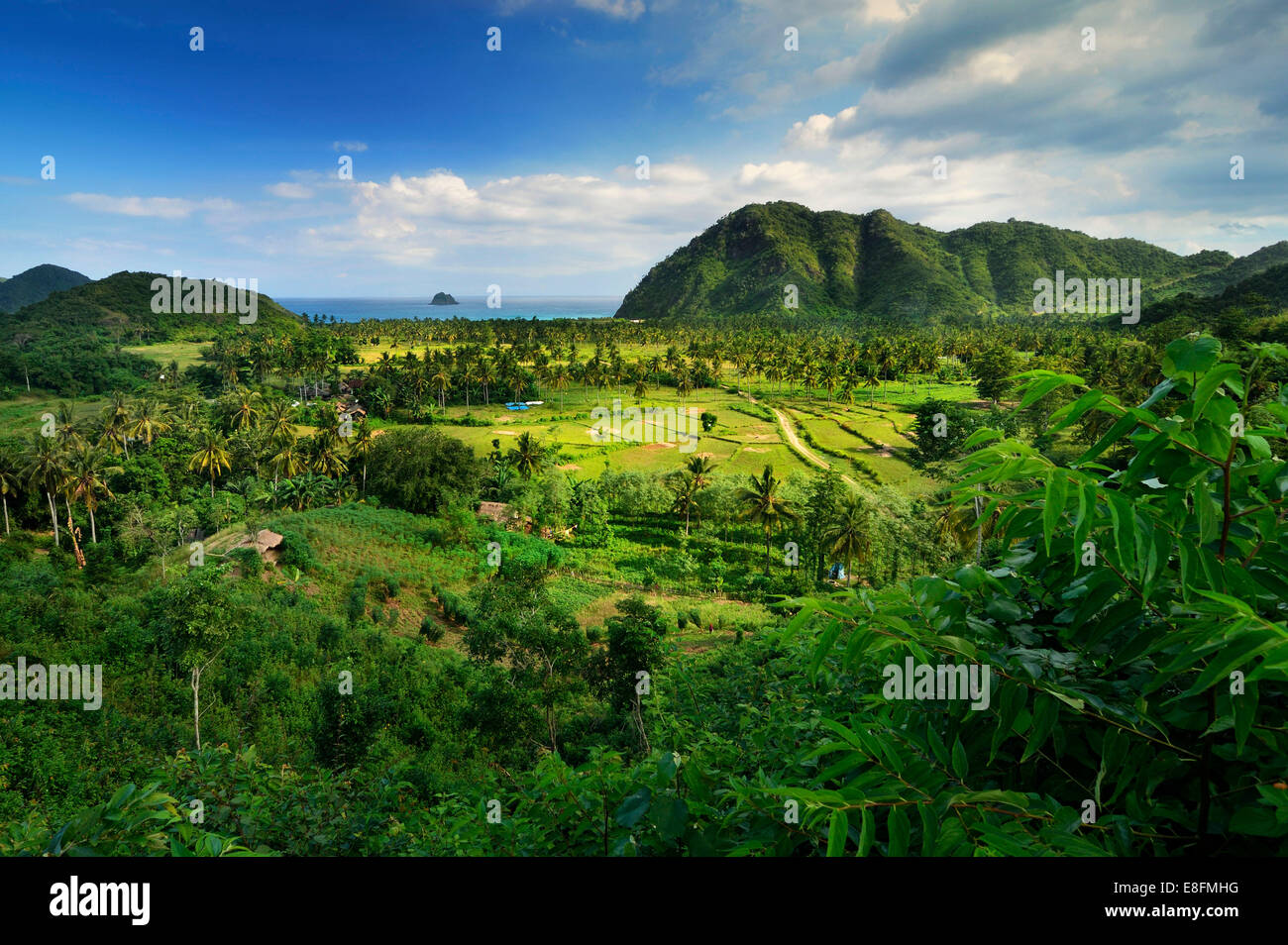 Indonesien, West Nusa Tenggara, erhöhten Blick auf Bauernhof, Meer im Hintergrund Stockfoto